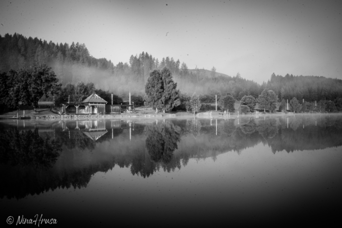 Nebelstimmung Furtner Teich Mariahof | Schwarzweiss-Fotografie | Bild Nr 9768 | Nina Hrusa