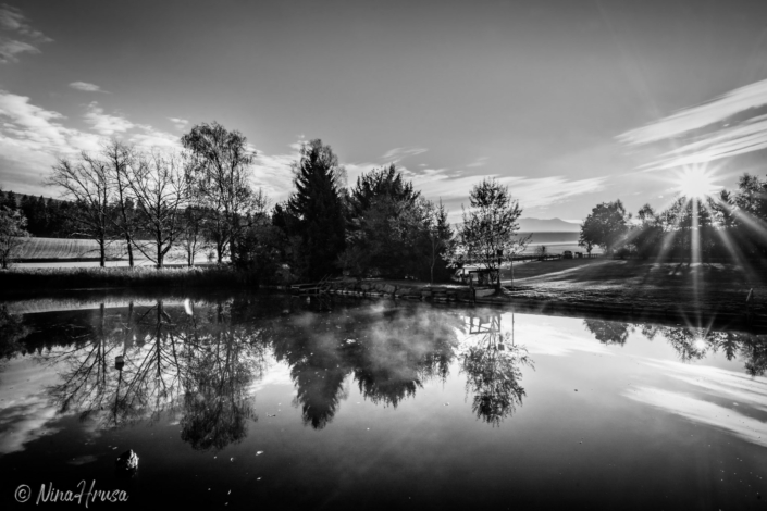 Sonnenaufgang Furtner Teich Mariahof | Schwarzweiss-Fotografie | Bild Nr 1511 | Nina Hrusa