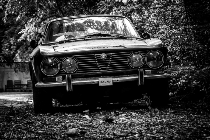 Vernissage "Die Resonanz der Stille" | Nina Hrusa | Bild Nr 9777 Alfa Romeo Oldtimer