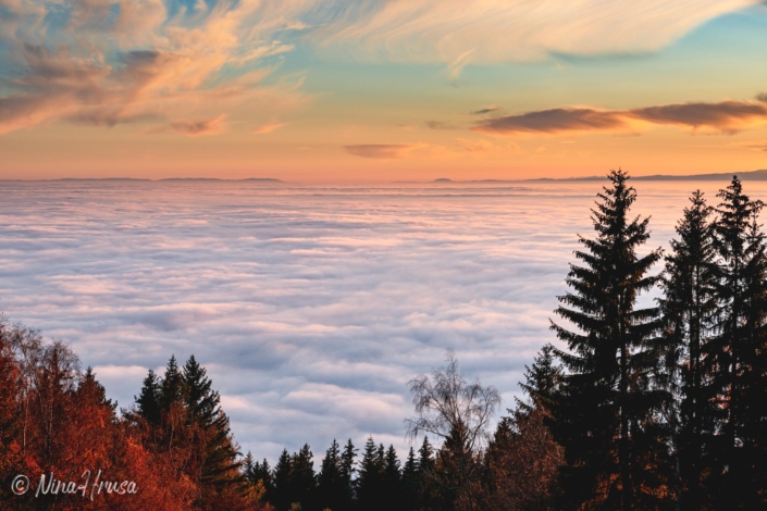 Sonnenuntergang am Berg über der Nebelgrenze | Bild Nr 2183 | Nina Hrusa